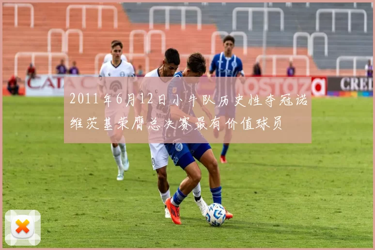 2011年6月12日小牛队历史性夺冠诺维茨基荣膺总决赛最有价值球员