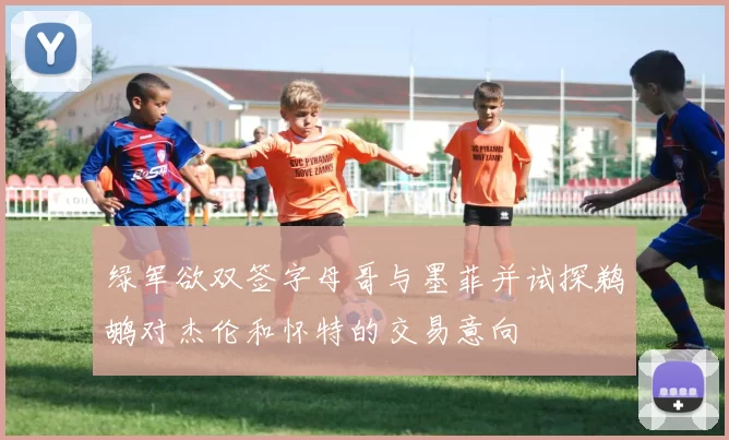 绿军欲双签字母哥与墨菲并试探鹈鹕对杰伦和怀特的交易意向